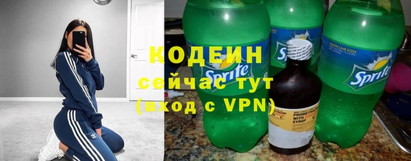 дживик Таштагол