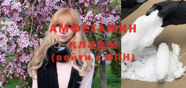 ГАЛЛЮЦИНОГЕННЫЕ ГРИБЫ Нея