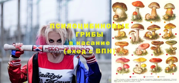 эйфоретик Новокубанск