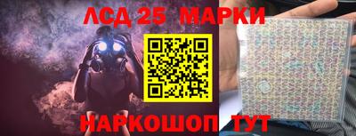 Альфа ПВП Дубна