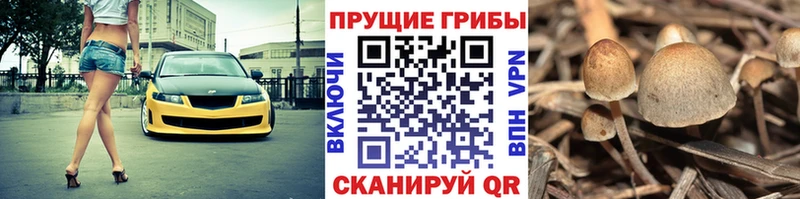 Псилоцибиновые грибы мухоморы  Улан-Удэ 