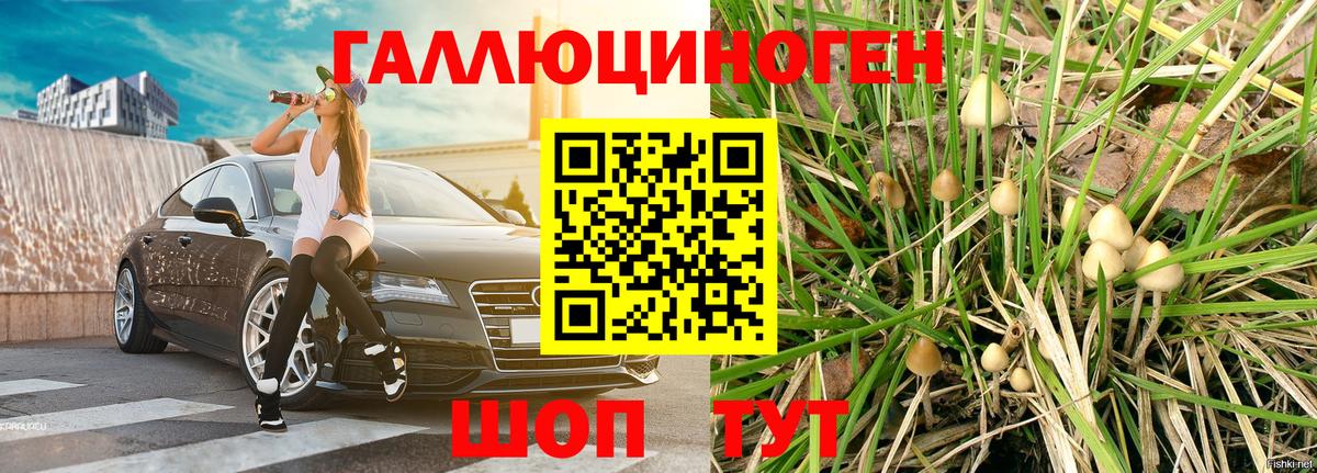 Псилоцибиновые грибы MAGIC MUSHROOMS Улан-Удэ