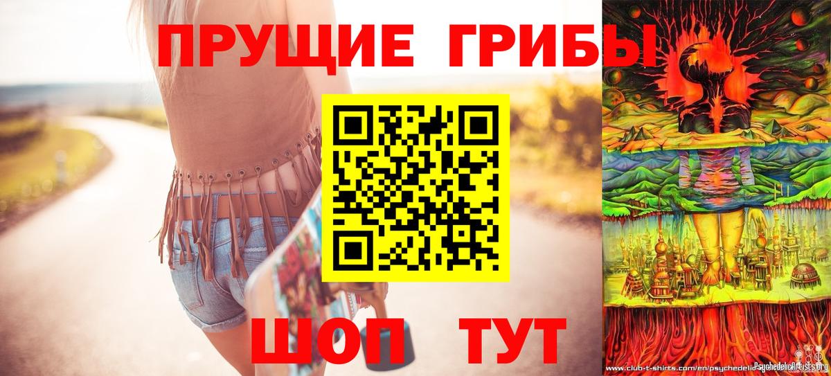 Галлюциногенные грибы MAGIC MUSHROOMS  Вход с VPN  цены   Улан-Удэ 