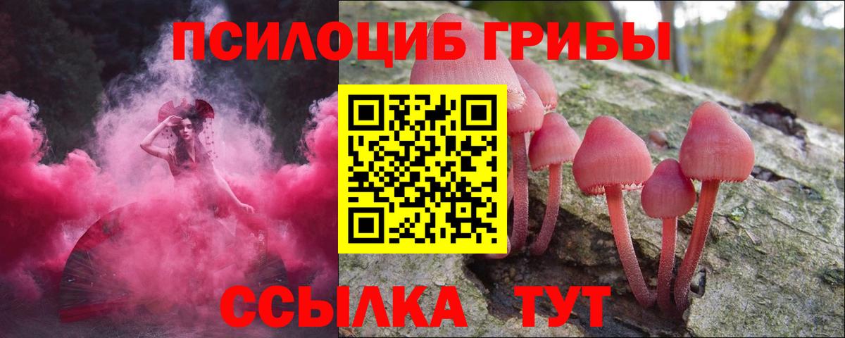 купить наркоту  Улан-Удэ  Псилоцибиновые грибы Cubensis  Галлюциногенные грибы ЛСД 