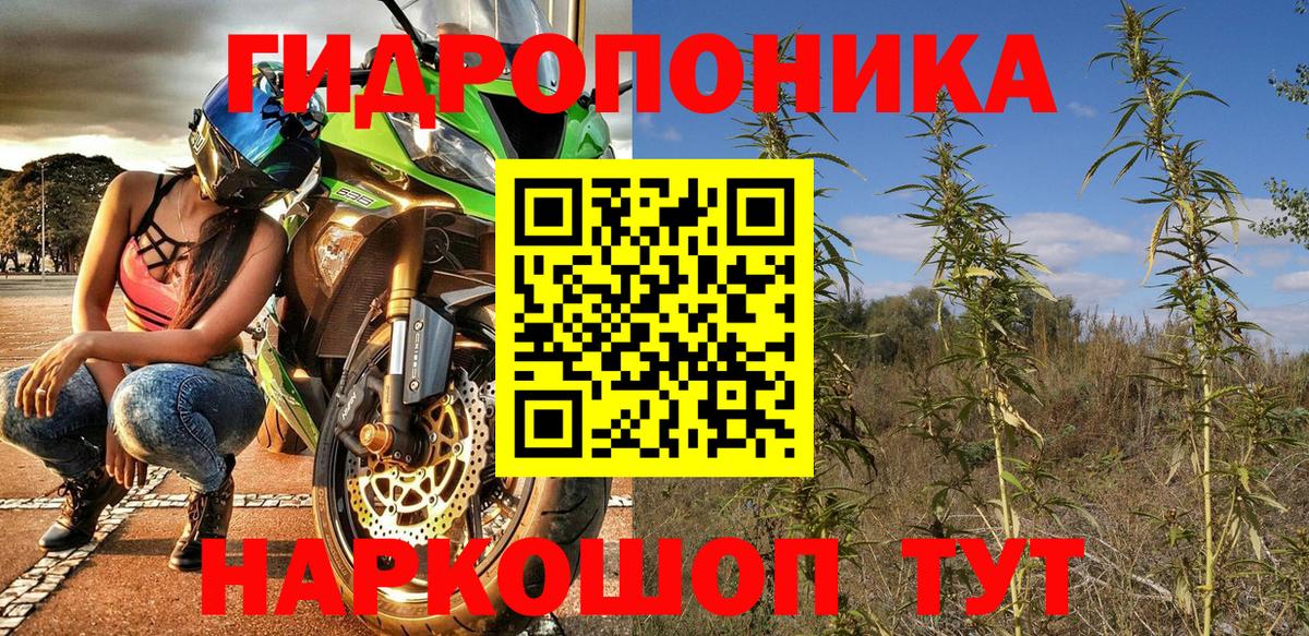 Улан-Удэ  Бошки марихуана сатива  Конопля конопля  Вход с VPN  Бошки Шишки план 